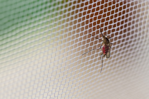 Come scegliere le zanzariere più adatte per la casa